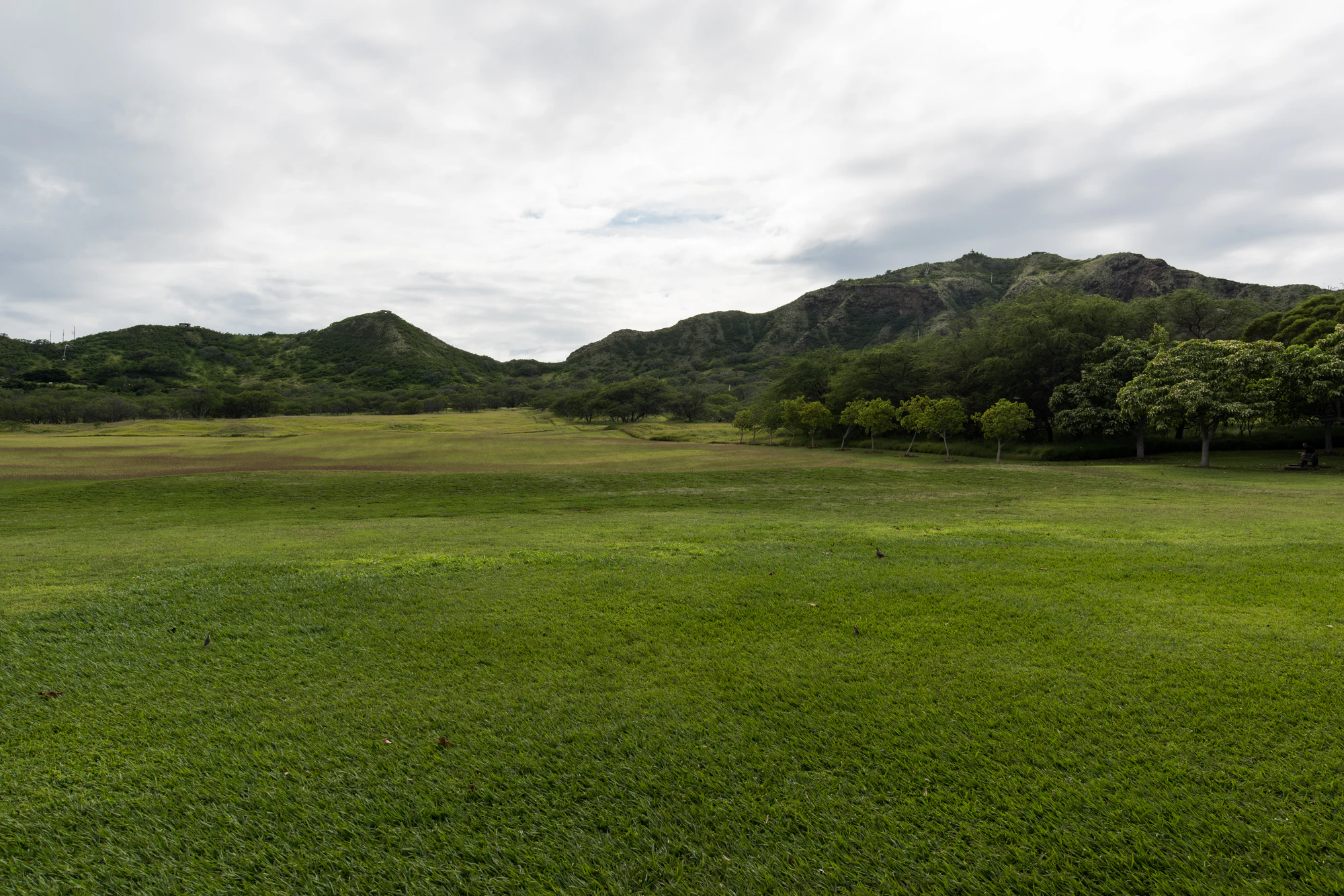 259 — Скачать