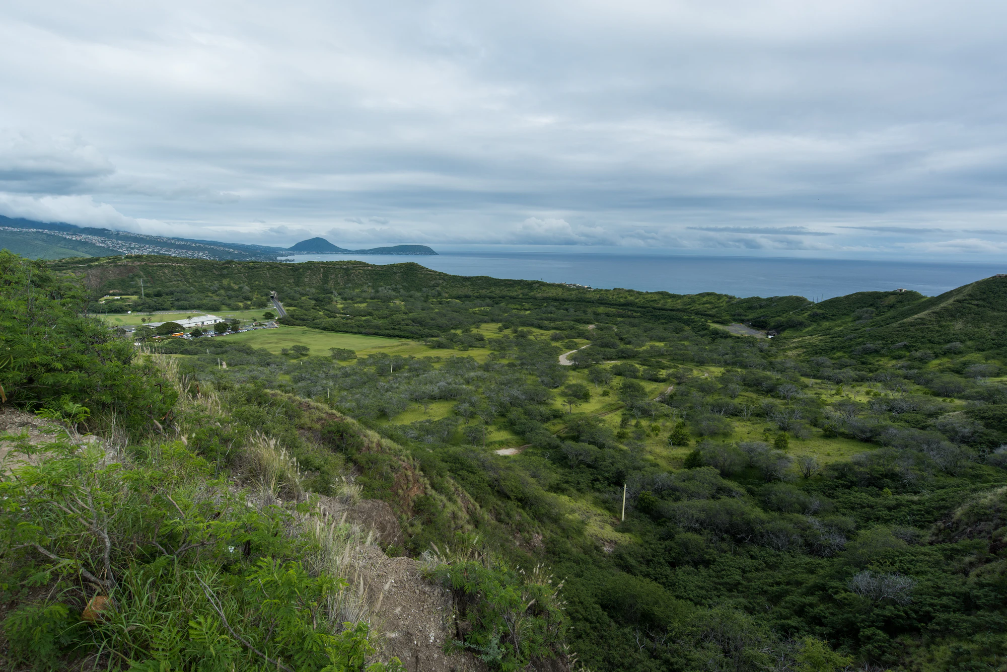 265 — Скачать