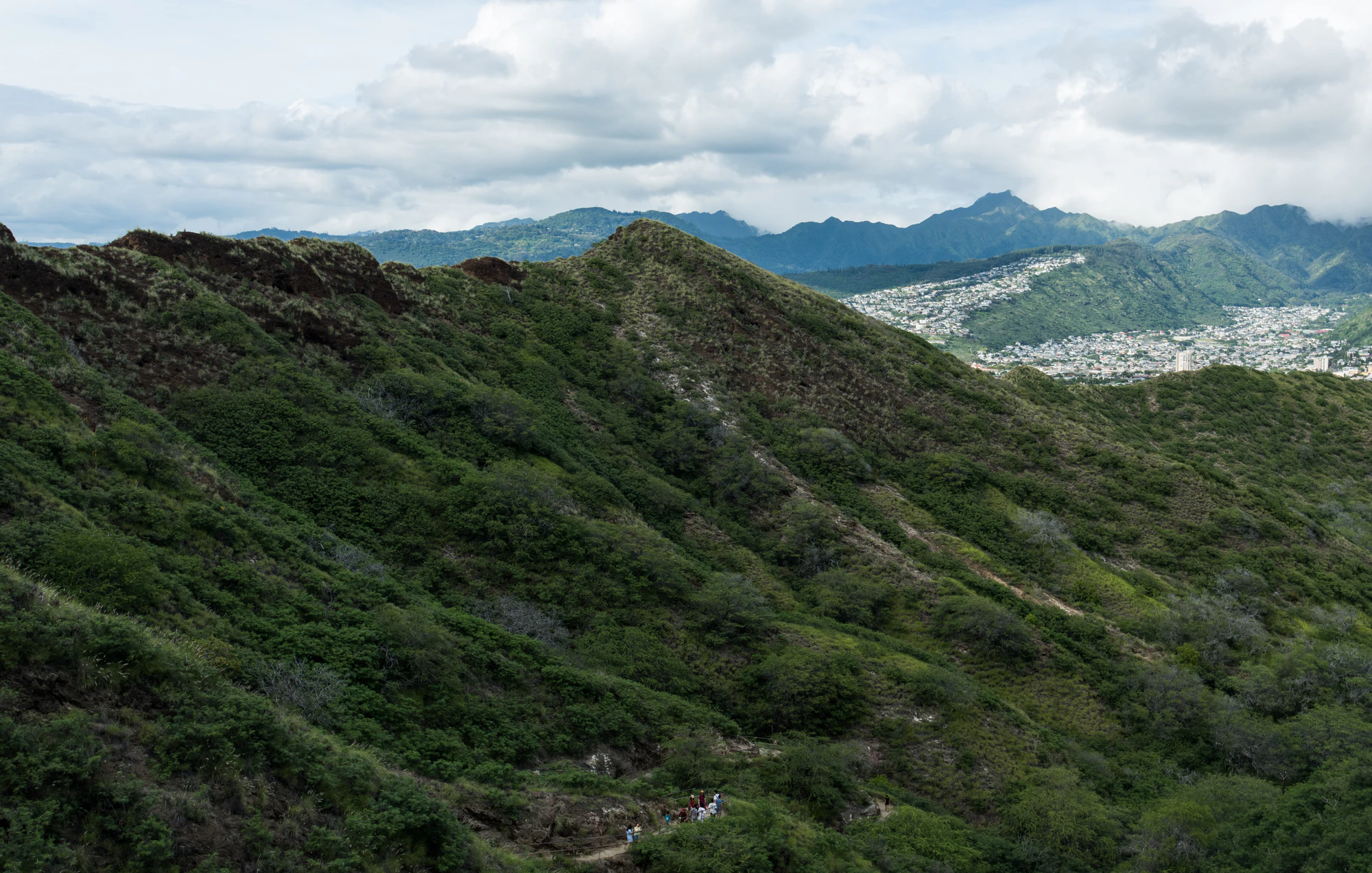 267 — Скачать