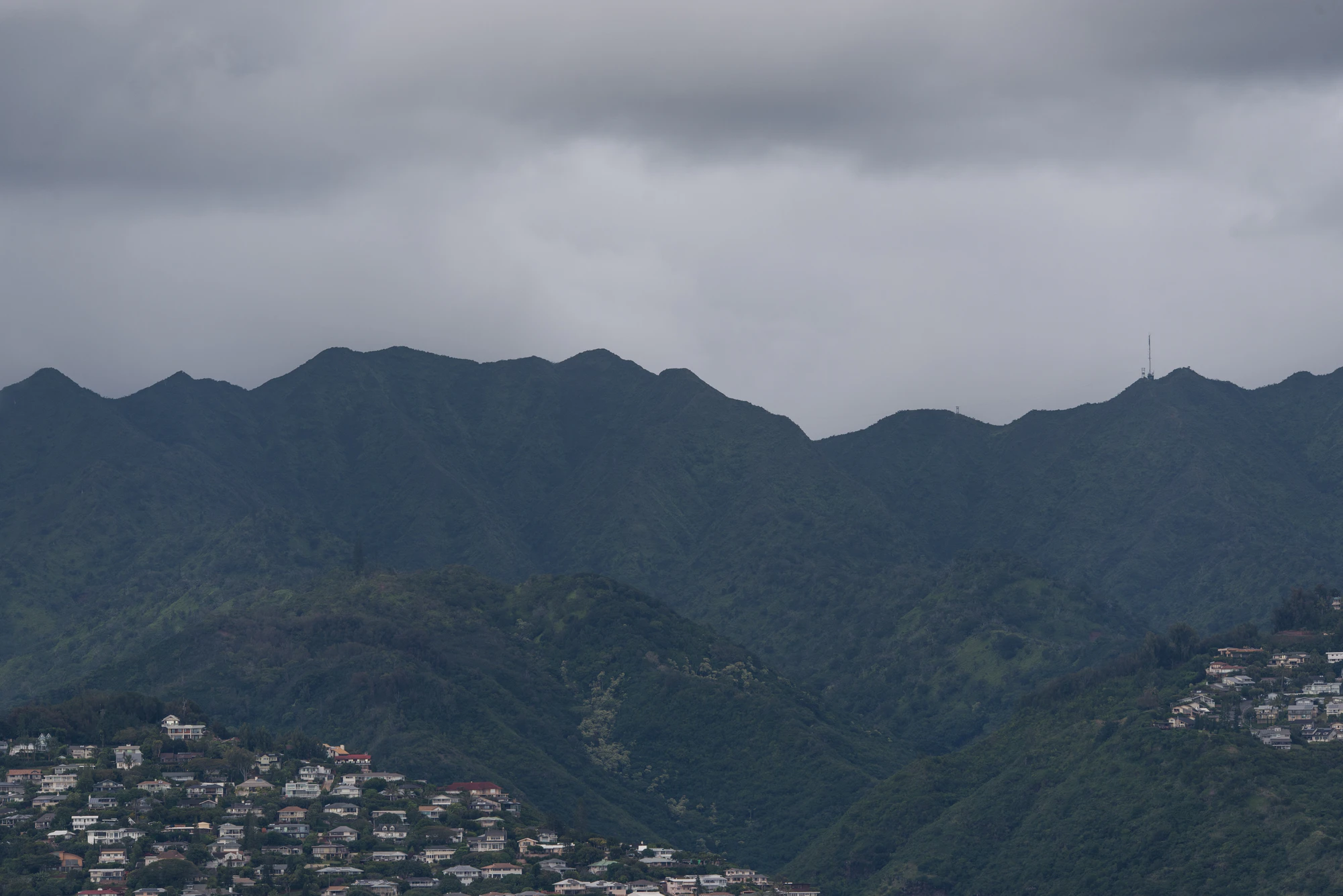 273 — Скачать