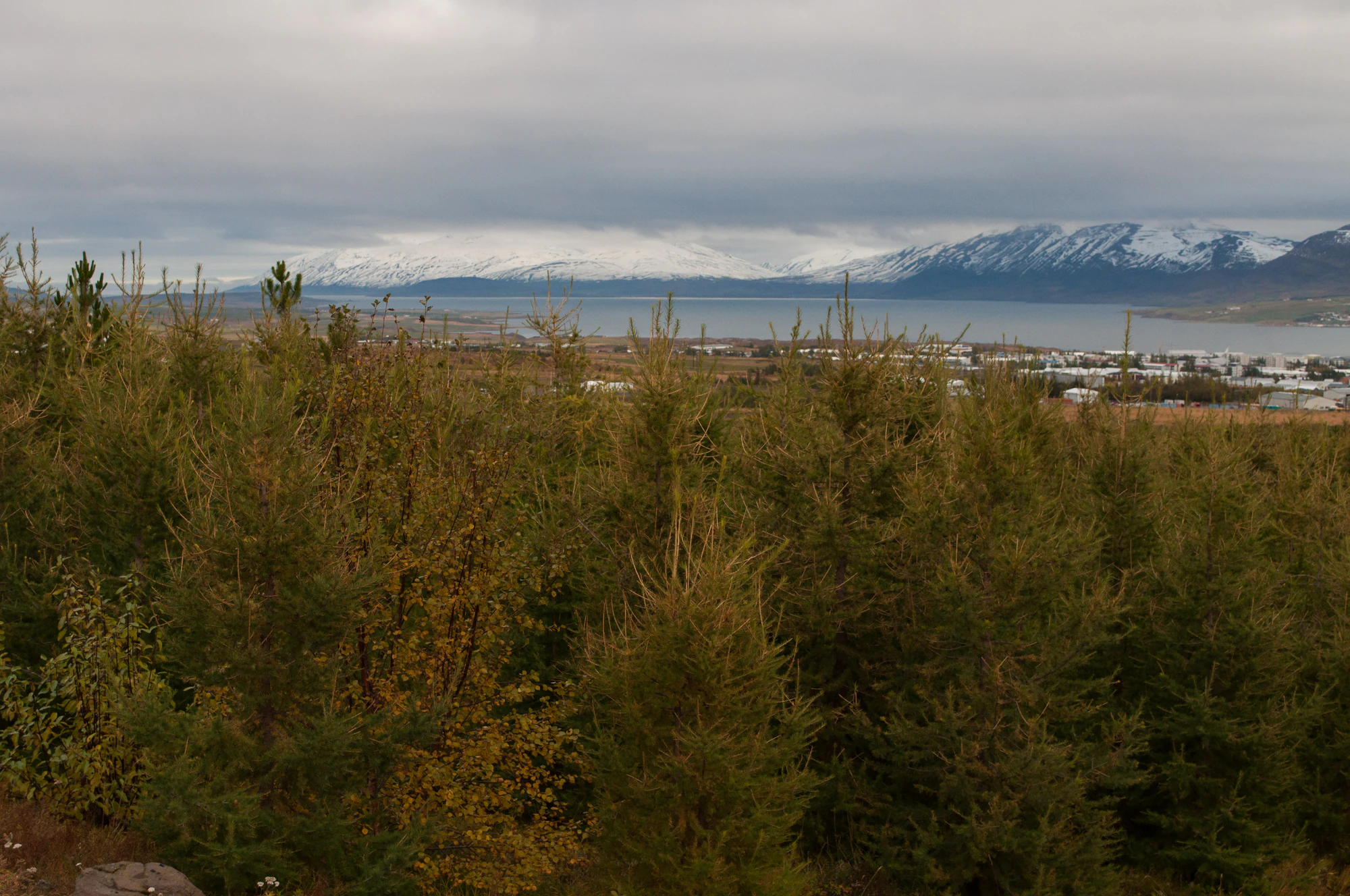 352 — Скачать