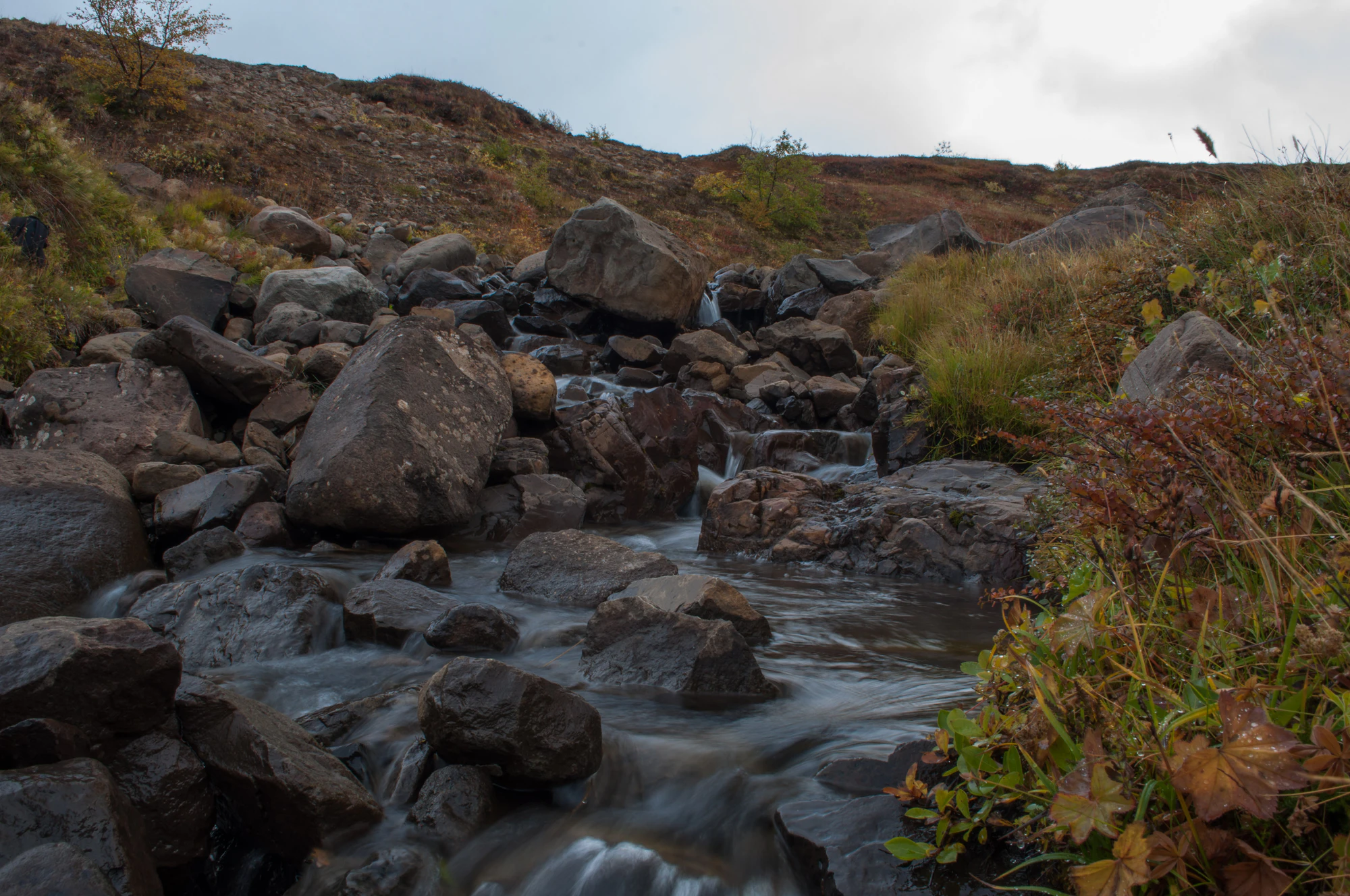 355 — Скачать