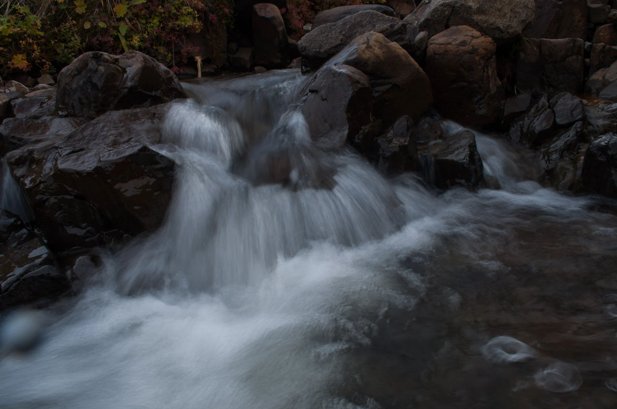 356 — Скачать