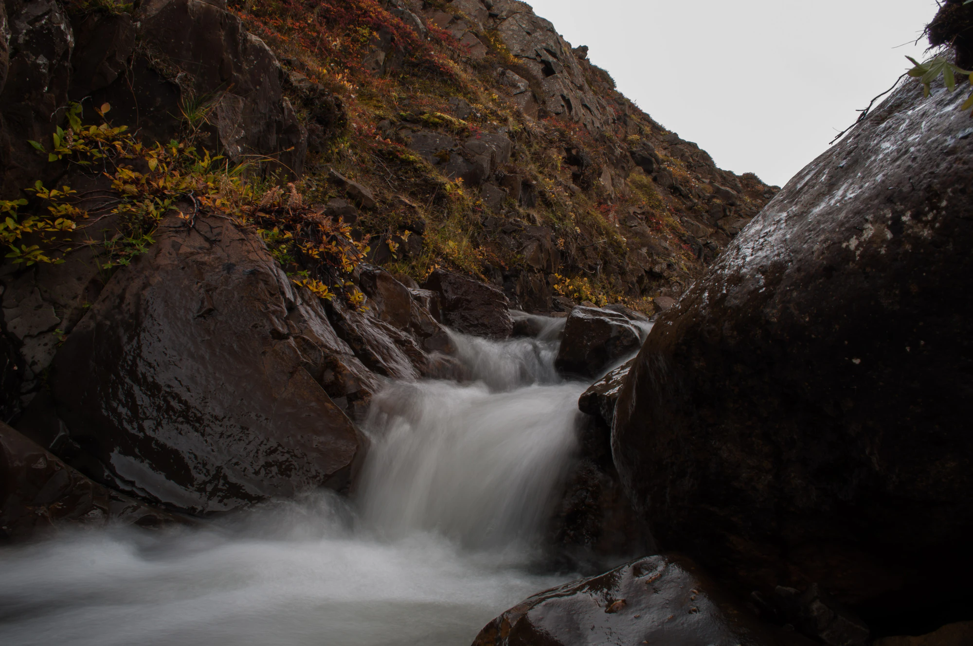 361 — Скачать