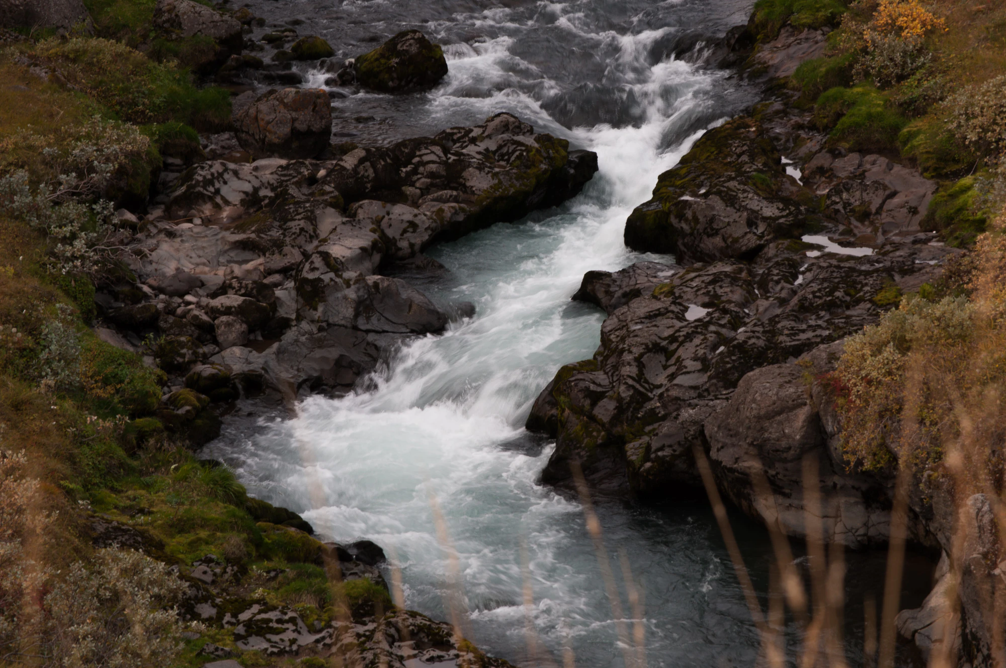 373 — Скачать