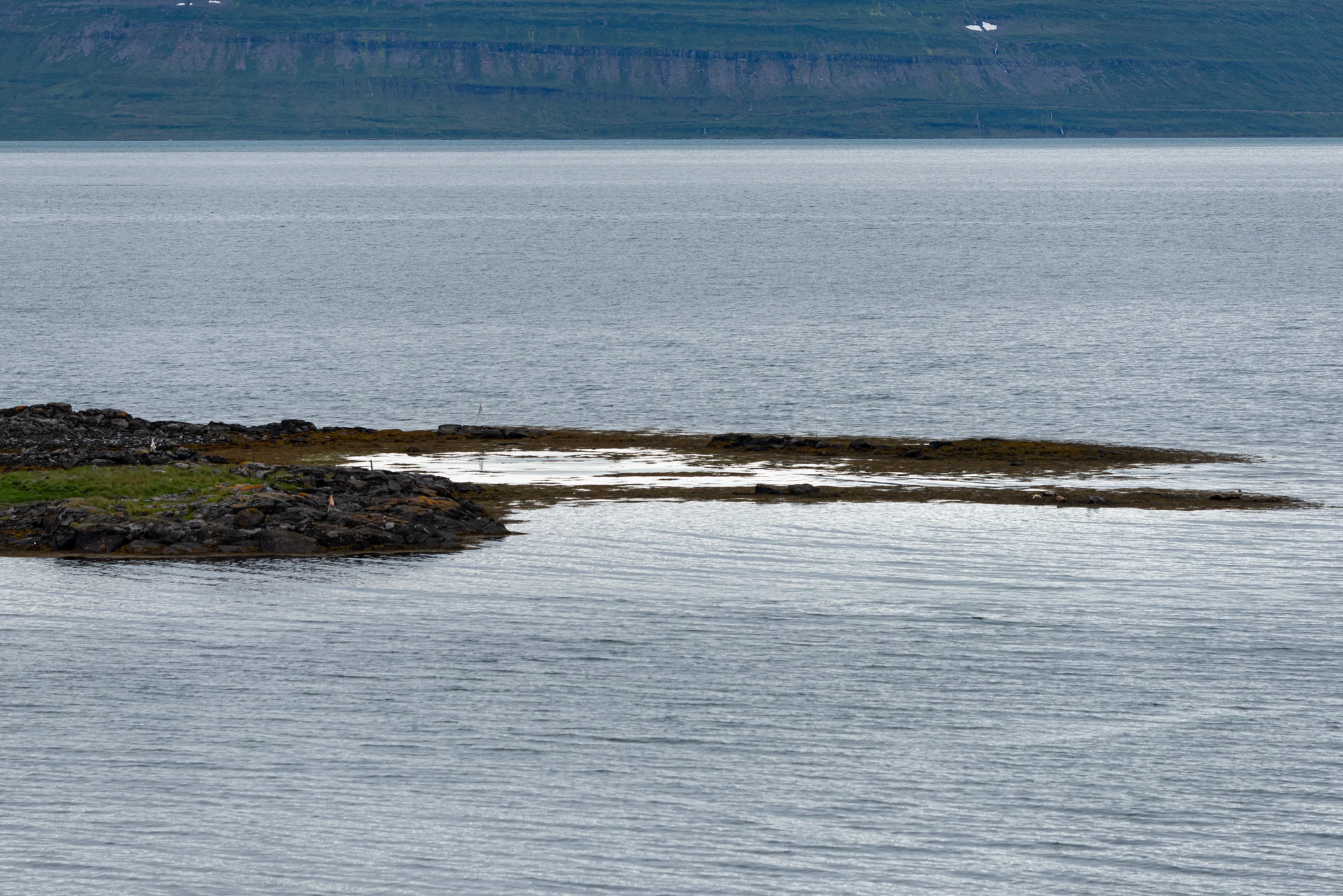 247 — Скачать