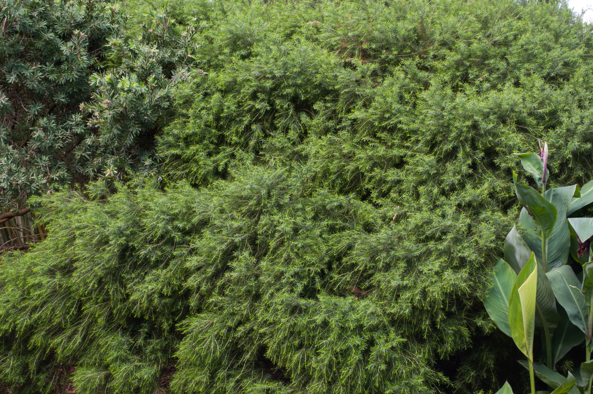 164 — Скачать