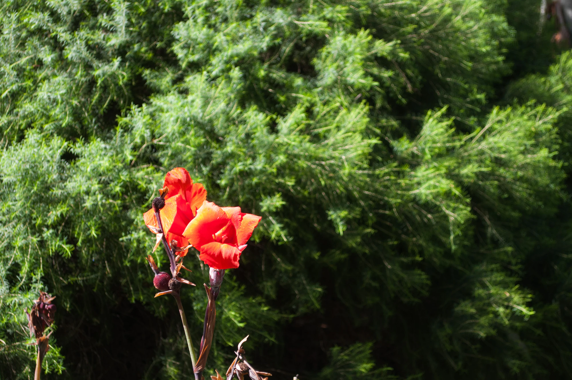 166 — Скачать