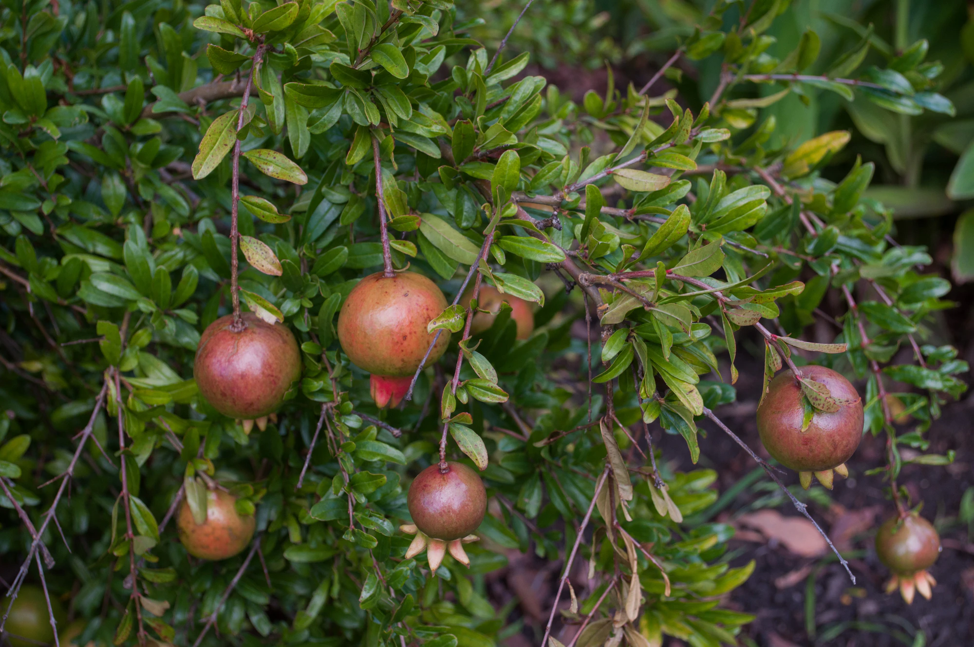 193 — Скачать