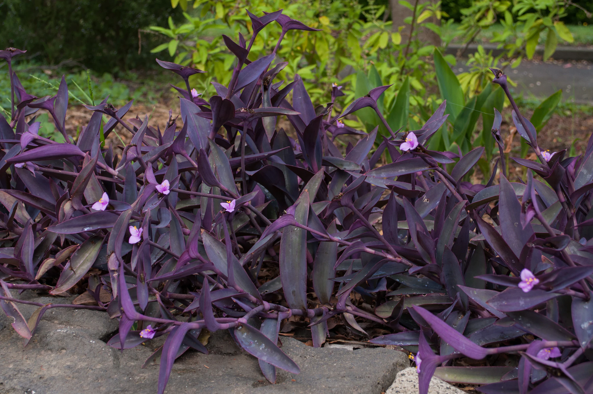 198 — Скачать