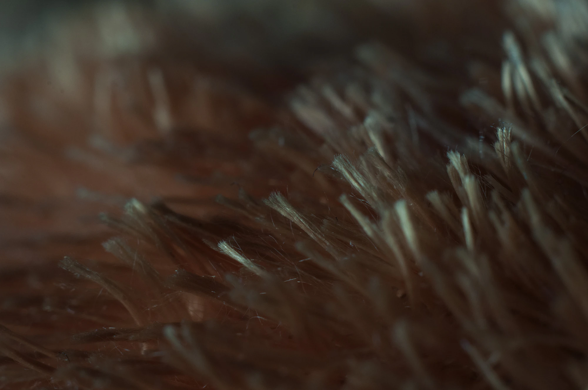 071 — Скачать