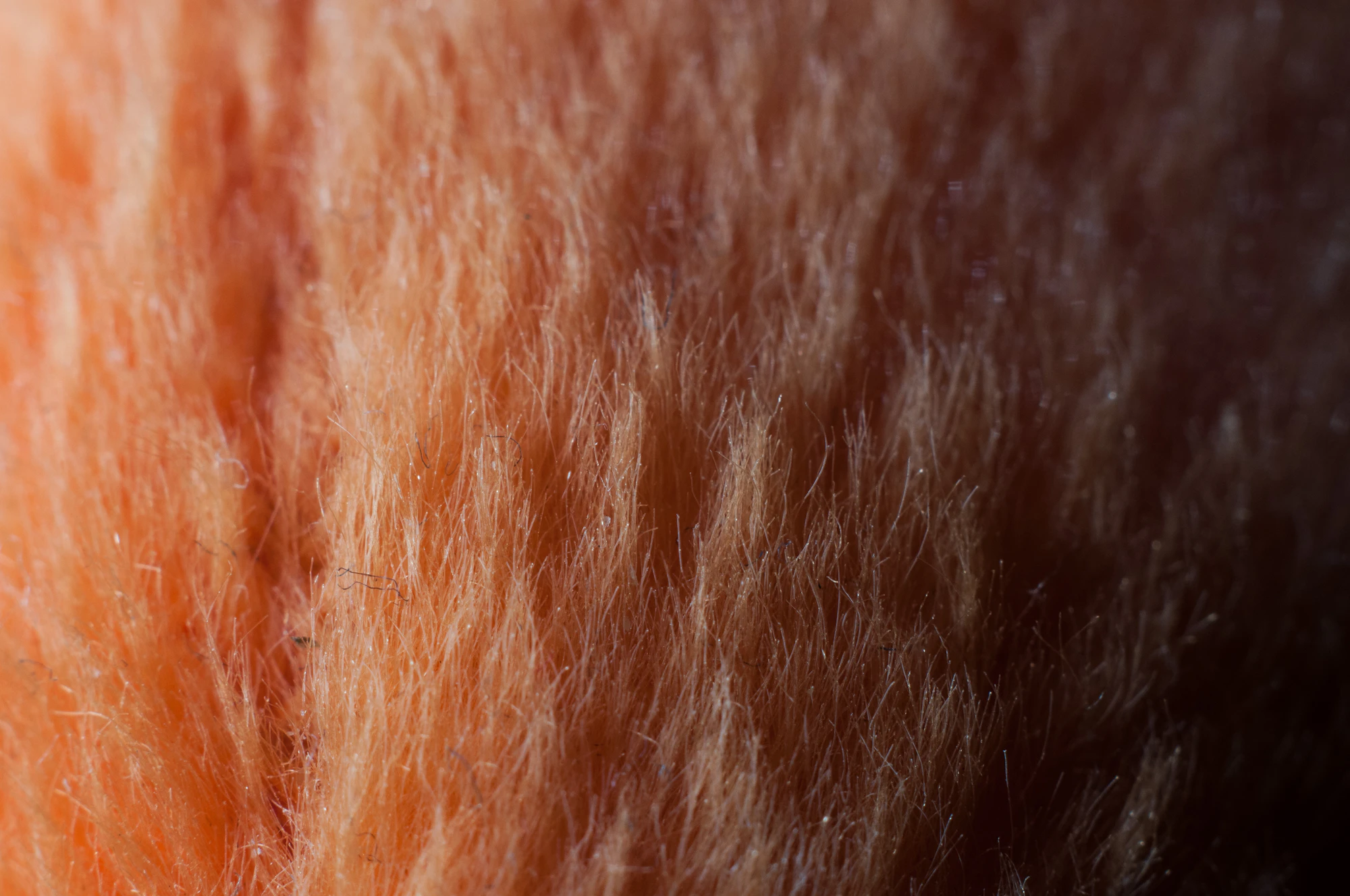 073 — Скачать