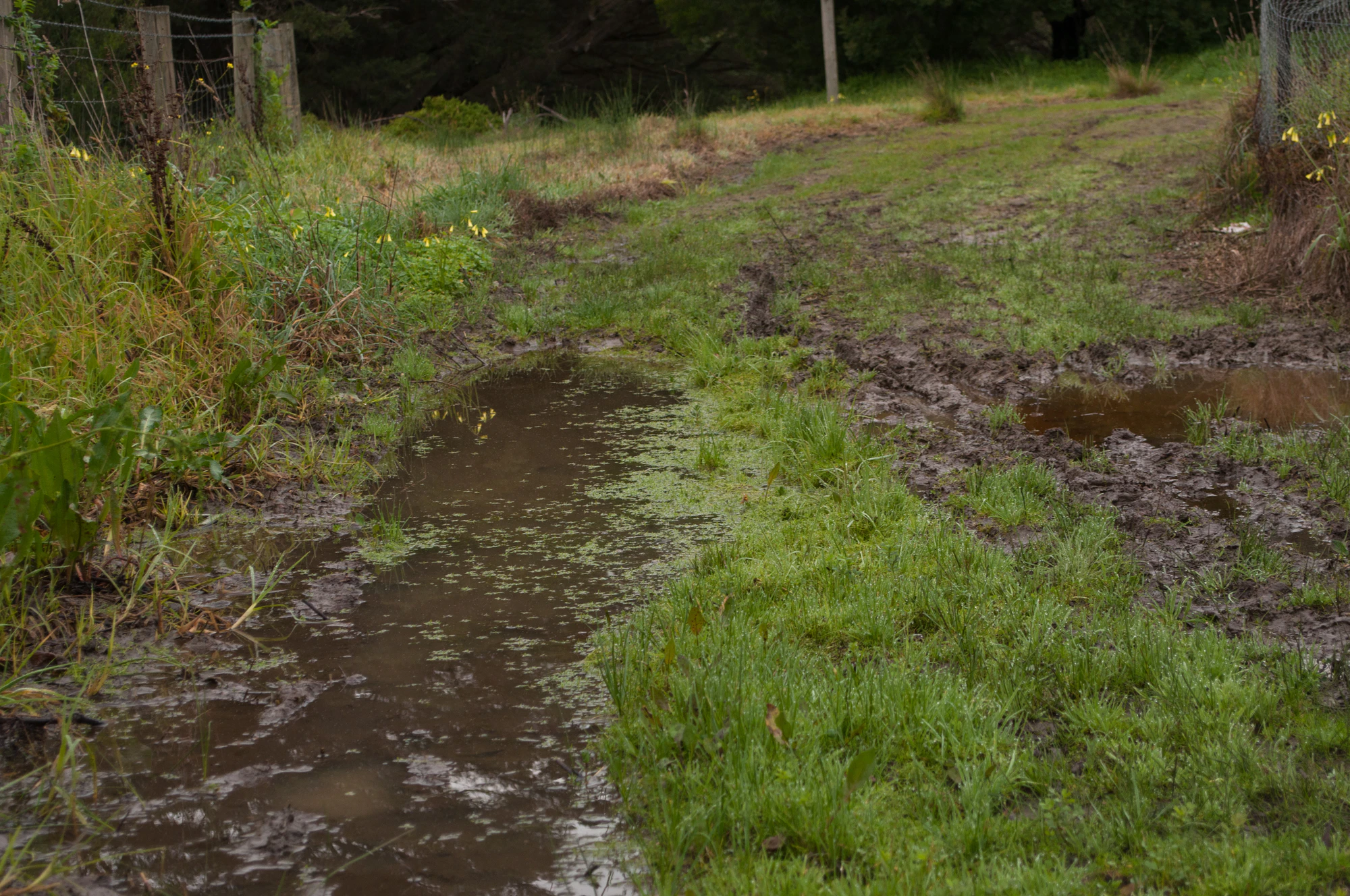 253 — Скачать