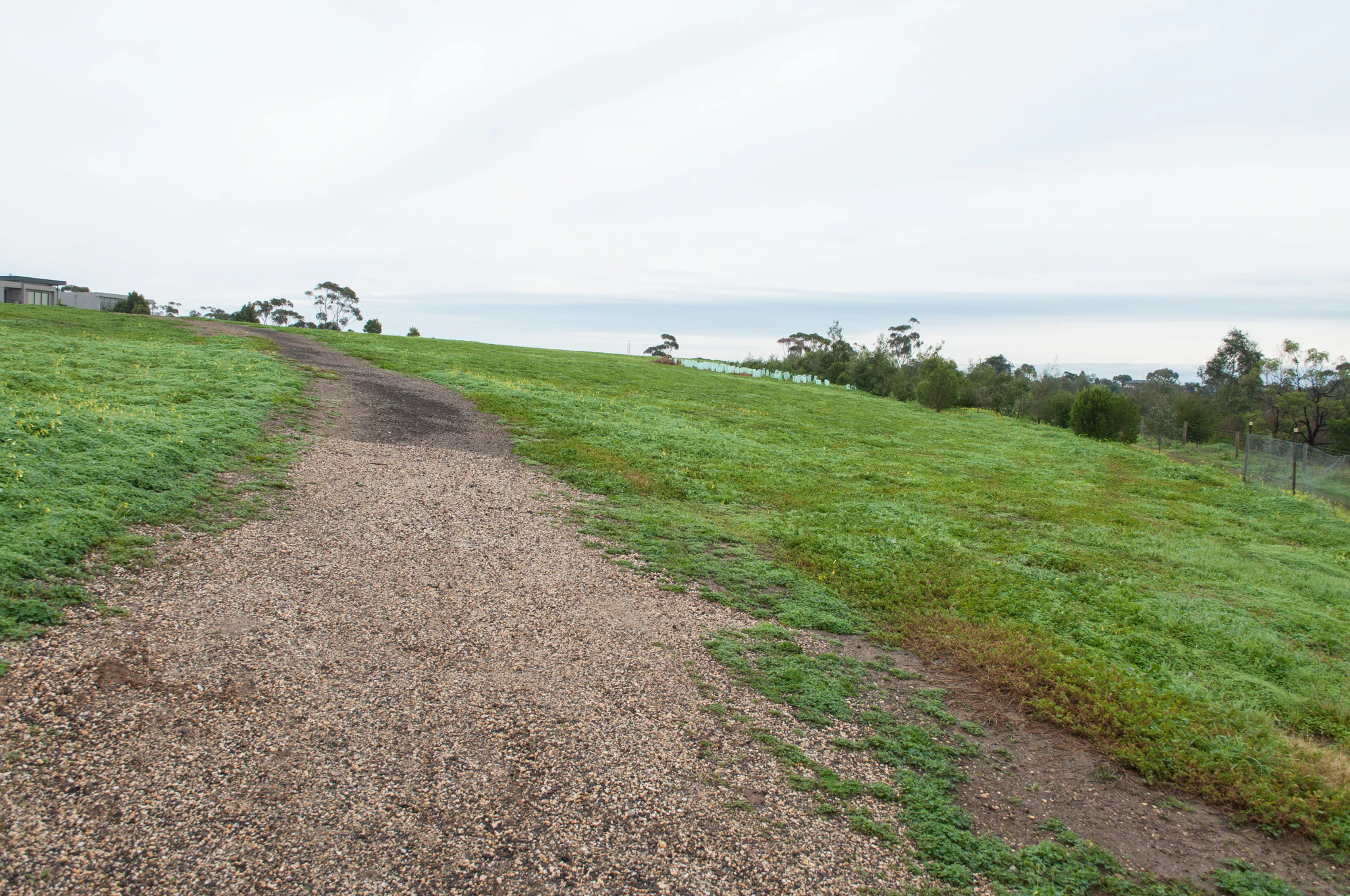 262 — Скачать