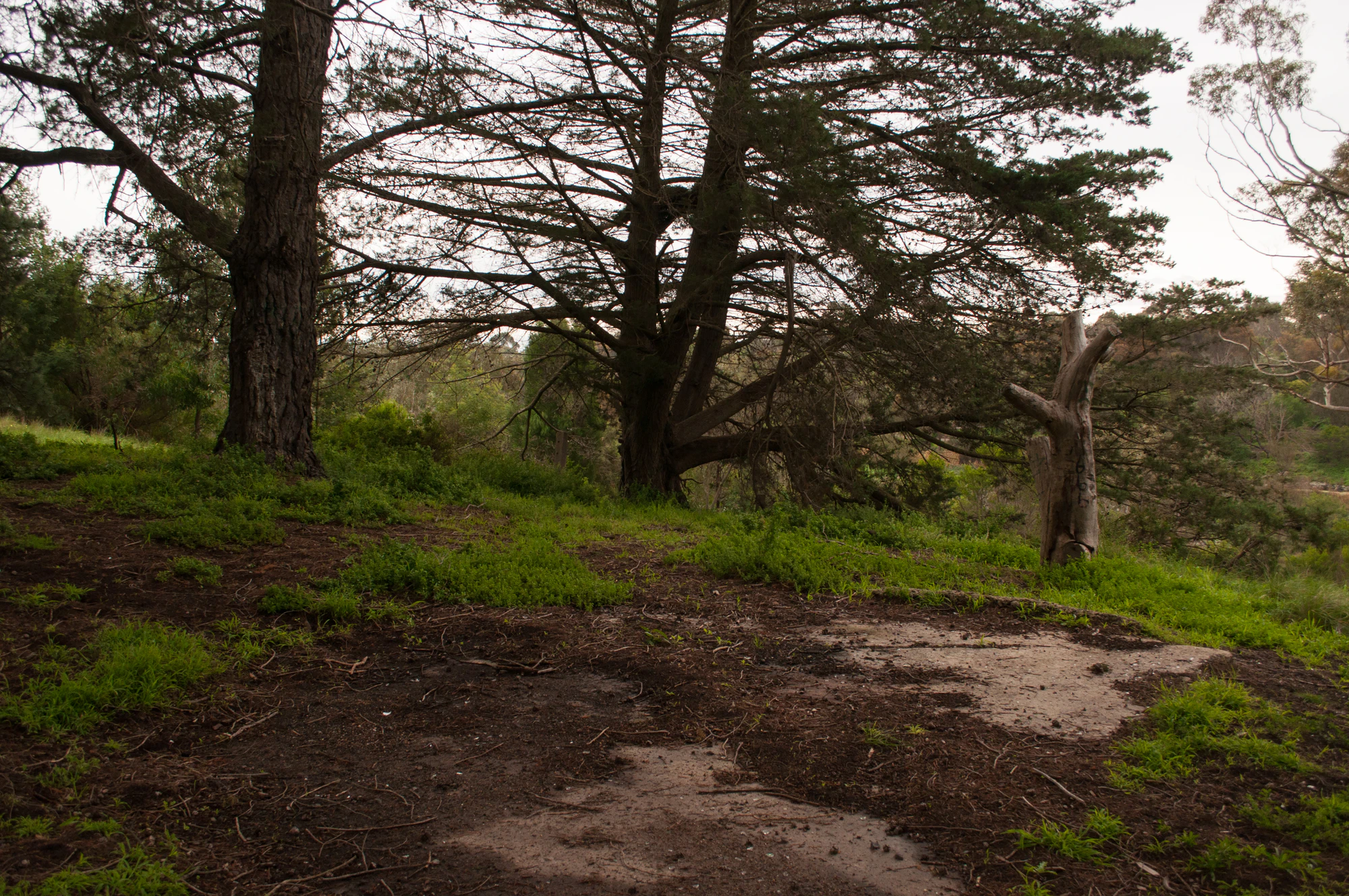 267 — Скачать