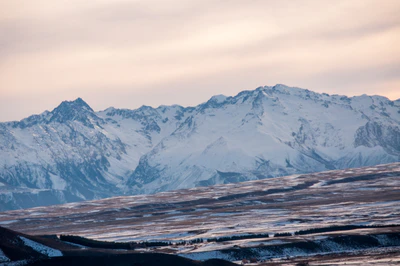 323 — скачать