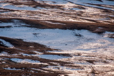 331 — скачать