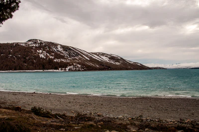 341 — скачать