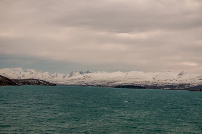 344 — скачать