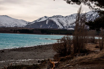 347 — скачать