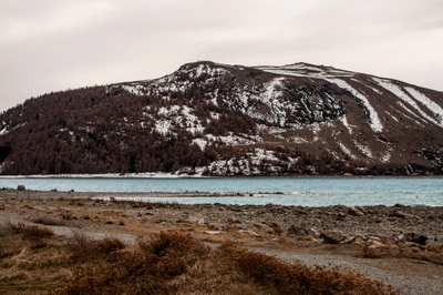 349 — скачать