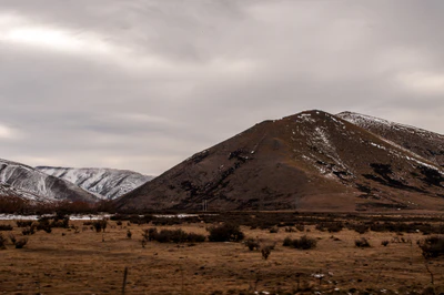 351 — скачать