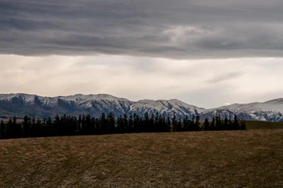 355 — скачать