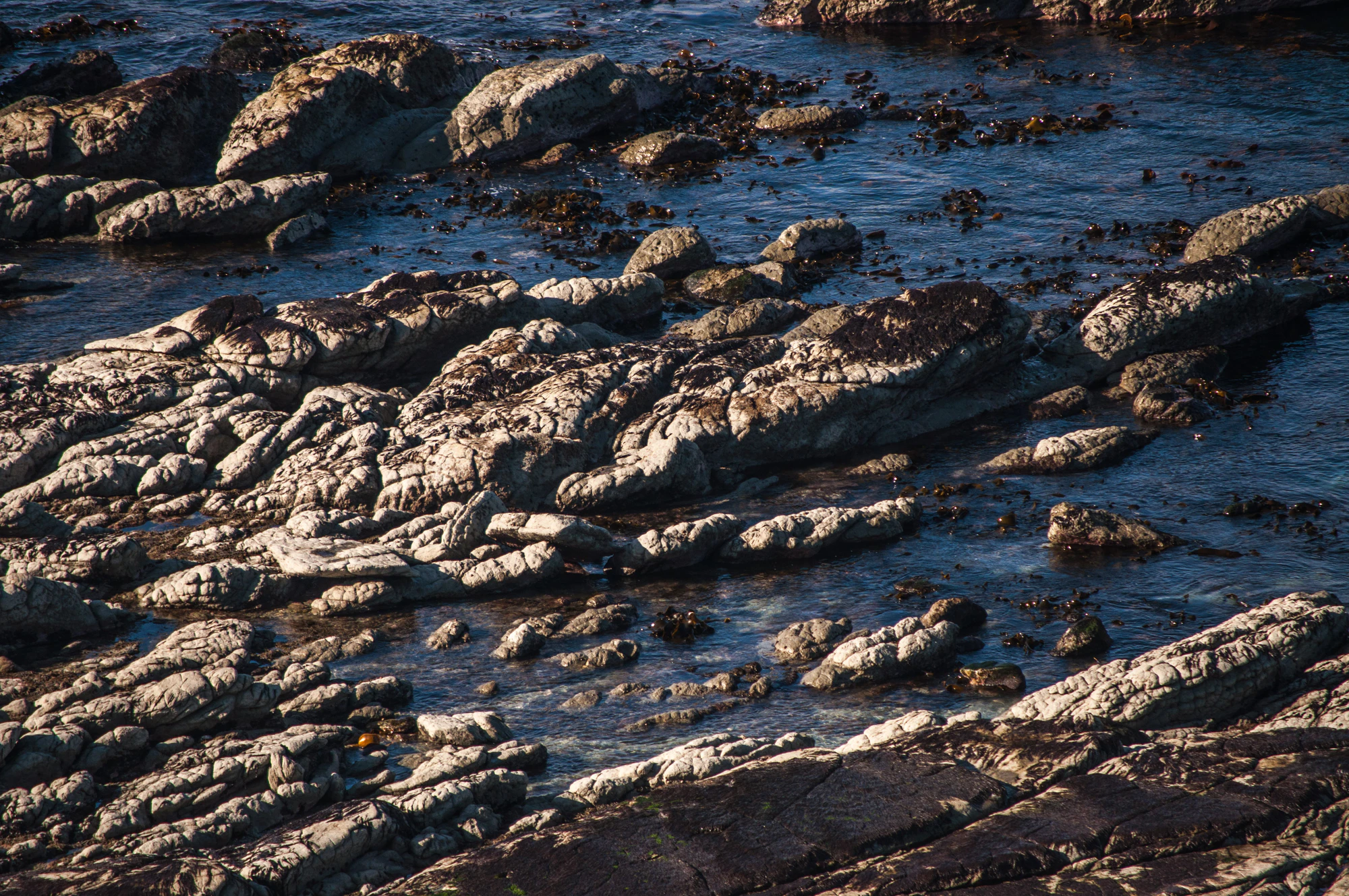 550 — Скачать