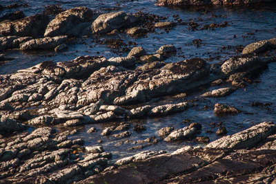 550 — скачать