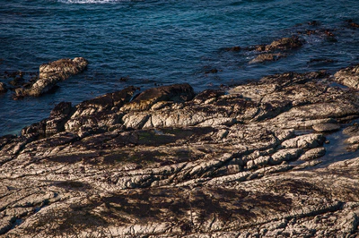 551 — скачать