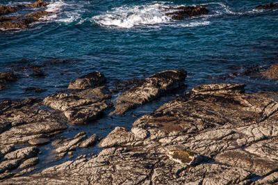 552 — скачать