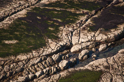 555 — скачать