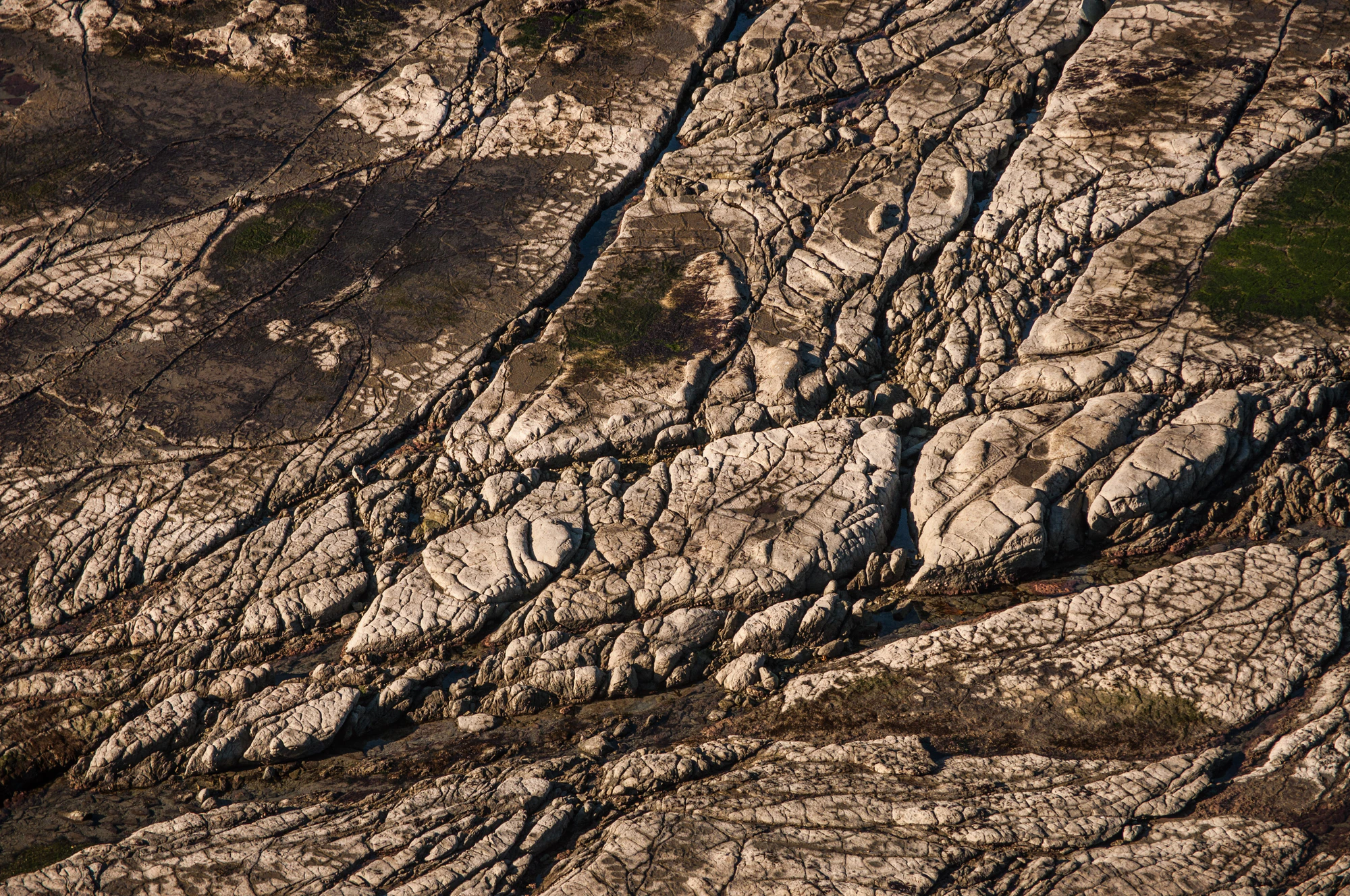 556 — Скачать