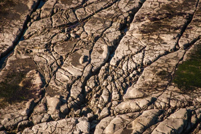 557 — скачать