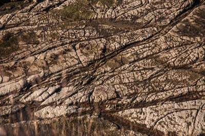 559 — скачать