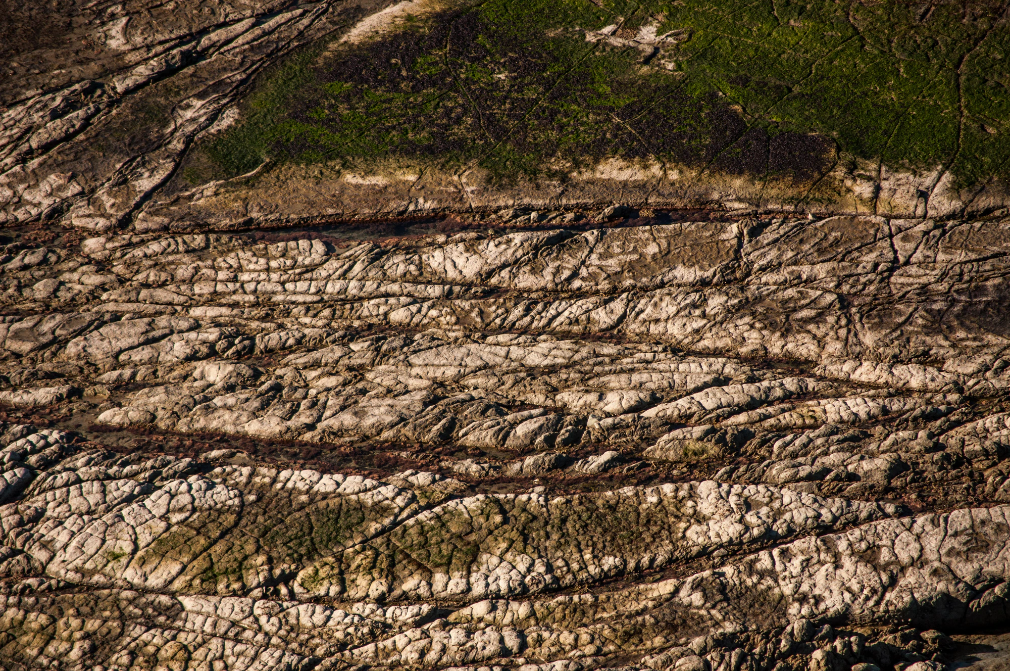 560 — Скачать