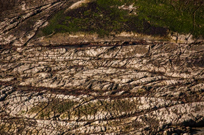 560 — скачать