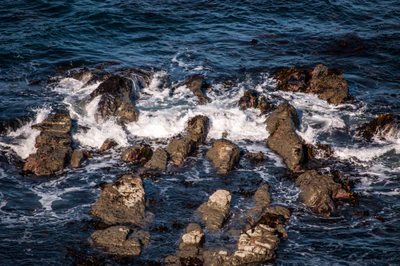 561 — скачать