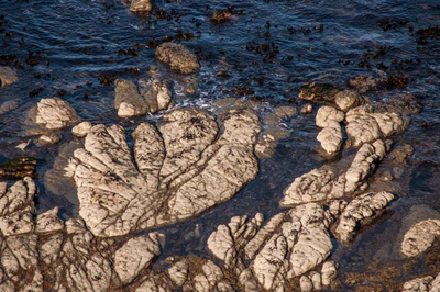 562 — скачать