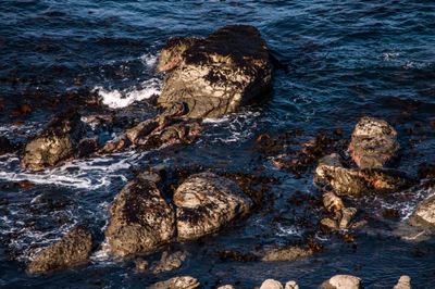 563 — скачать