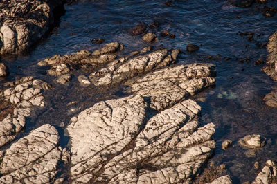 565 — скачать