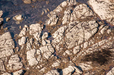 566 — скачать