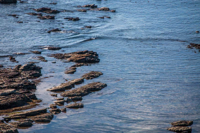 572 — скачать