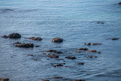 573 — скачать