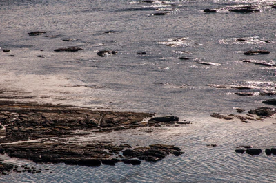 577 — скачать