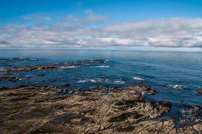 580 — скачать