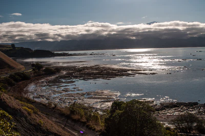 583 — скачать