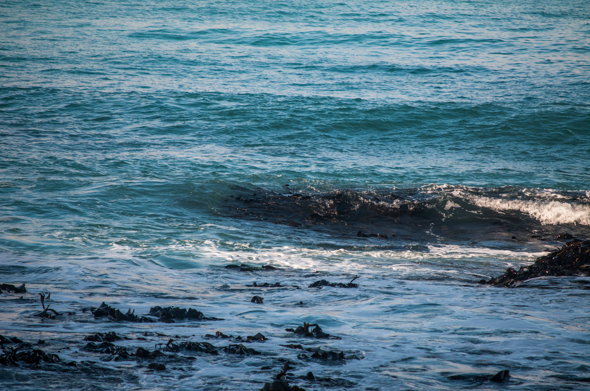 368 — Скачать