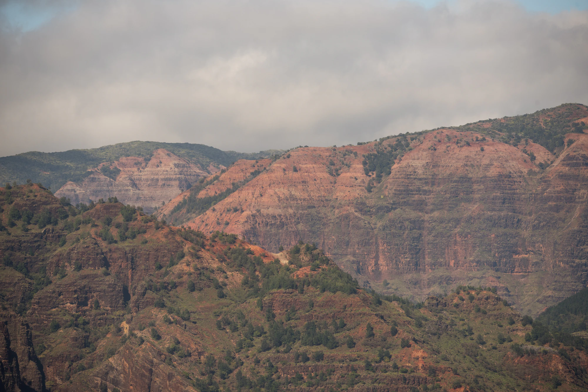 245 — Скачать