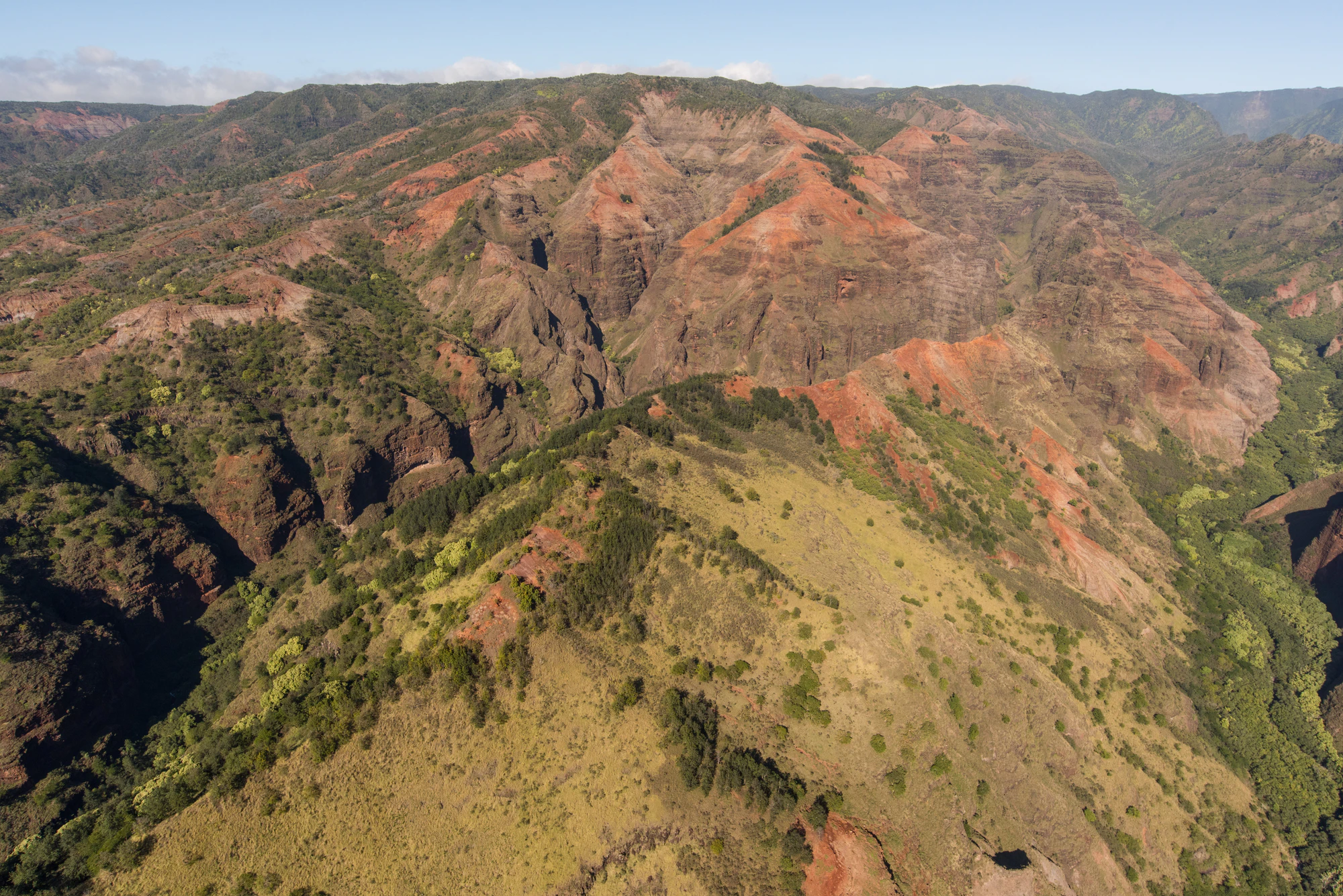 254 — Скачать